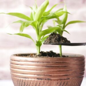 Hand Garden Trowel