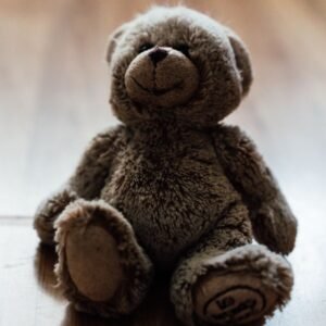Classic Plush Teddy Bear
