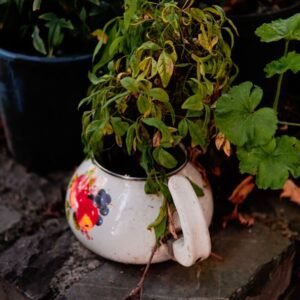 Ceramic Plant Pot