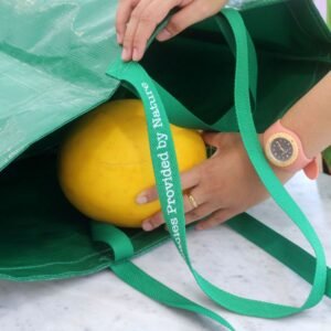 Reusable Shopping Bag