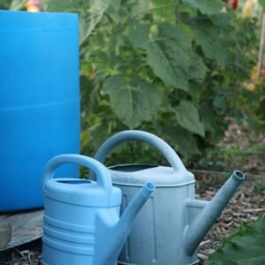Garden Watering Can
