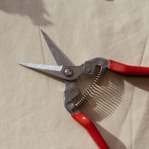 Pruning Shears